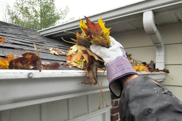 Cost of Eaves Cleaning in North Charleston